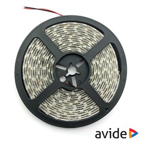 Fita 600 Leds 2835 3000K 24V 5M Ip65 Avide