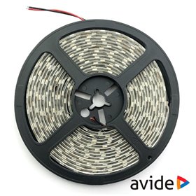 Fita 600 Leds 2835 6400K 12V 5M Ip65 Avide
