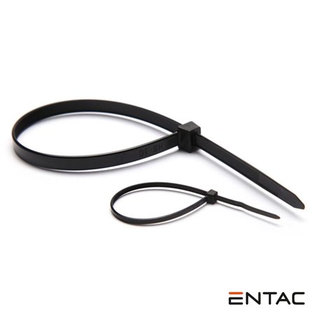 Conjunto 50 Braçadeiras Nylon 2.5X100Mm Preto Entac