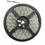 Fita 300 LEDS 5050 14.4W Azul 12V 5m IP65 PROK