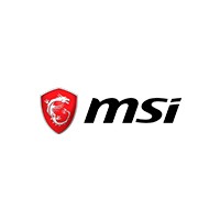 MSI